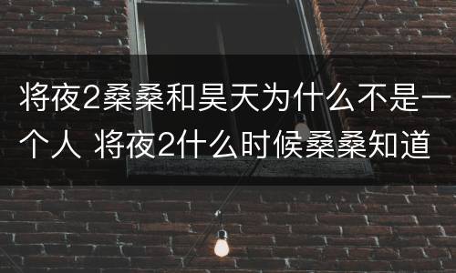 将夜2桑桑和昊天为什么不是一个人 将夜2什么时候桑桑知道自己是昊天的