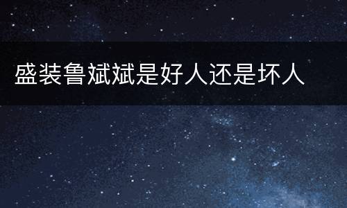 盛装鲁斌斌是好人还是坏人