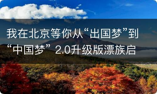 我在北京等你从“出国梦”到“中国梦” 2.0升级版漂族启示录