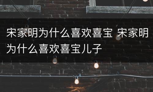 宋家明为什么喜欢喜宝 宋家明为什么喜欢喜宝儿子