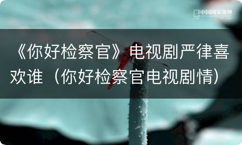 《你好检察官》电视剧严律喜欢谁（你好检察官电视剧情）