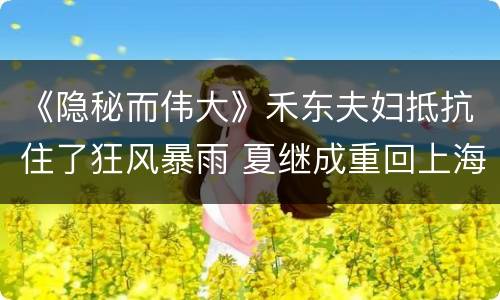 《隐秘而伟大》禾东夫妇抵抗住了狂风暴雨 夏继成重回上海