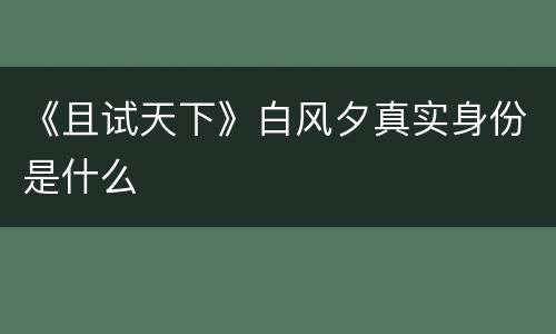 《且试天下》白风夕真实身份是什么