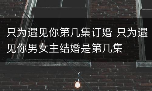 只为遇见你第几集订婚 只为遇见你男女主结婚是第几集
