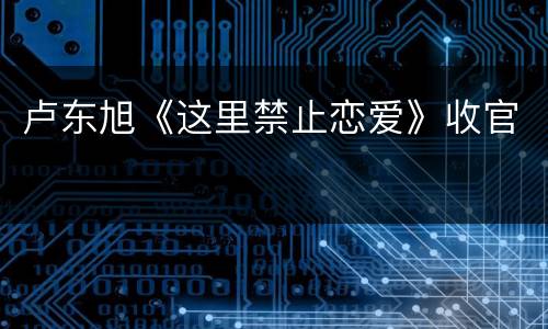 卢东旭《这里禁止恋爱》收官