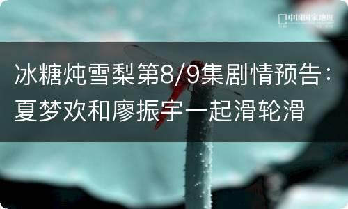 冰糖炖雪梨第8/9集剧情预告：夏梦欢和廖振宇一起滑轮滑