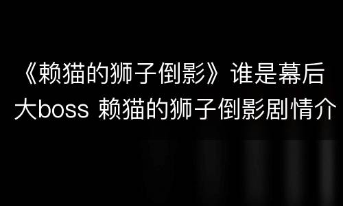 《赖猫的狮子倒影》谁是幕后大boss 赖猫的狮子倒影剧情介绍