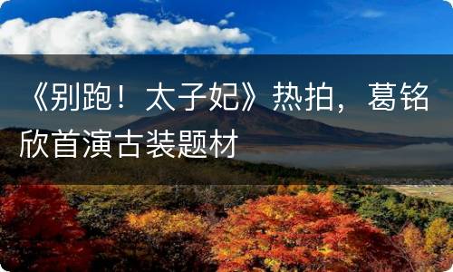《别跑！太子妃》热拍，葛铭欣首演古装题材