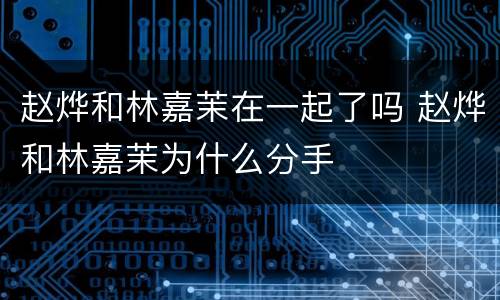 赵烨和林嘉茉在一起了吗 赵烨和林嘉茉为什么分手