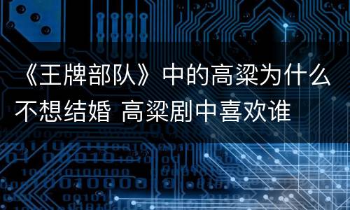 《王牌部队》中的高粱为什么不想结婚 高粱剧中喜欢谁