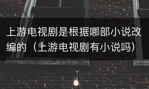 上游电视剧是根据哪部小说改编的（上游电视剧有小说吗）