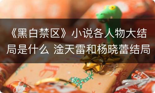 《黑白禁区》小说各人物大结局是什么 淦天雷和杨晓蕾结局揭秘