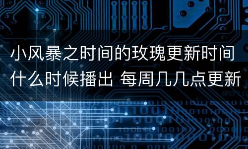 小风暴之时间的玫瑰更新时间什么时候播出 每周几几点更新几集