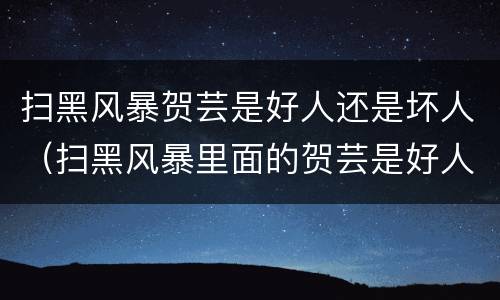 扫黑风暴贺芸是好人还是坏人（扫黑风暴里面的贺芸是好人还是坏人）