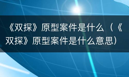 《双探》原型案件是什么（《双探》原型案件是什么意思）