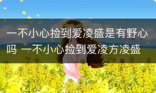 一不小心捡到爱凌盛是有野心吗 一不小心捡到爱凌方凌盛