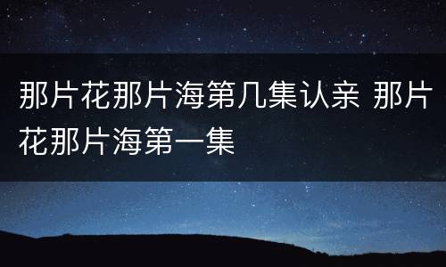 那片花那片海第几集认亲 那片花那片海第一集