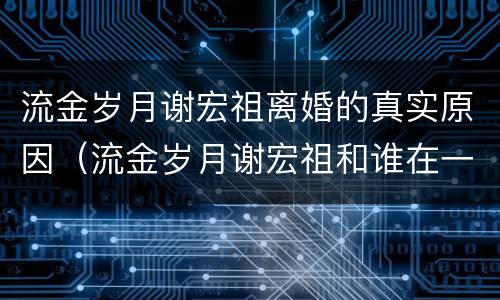 流金岁月谢宏祖离婚的真实原因（流金岁月谢宏祖和谁在一起了）