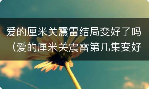 爱的厘米关震雷结局变好了吗（爱的厘米关震雷第几集变好）