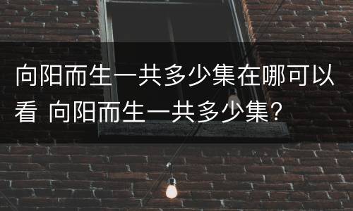 向阳而生一共多少集在哪可以看 向阳而生一共多少集?
