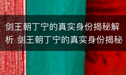 剑王朝丁宁的真实身份揭秘解析 剑王朝丁宁的真实身份揭秘解析
