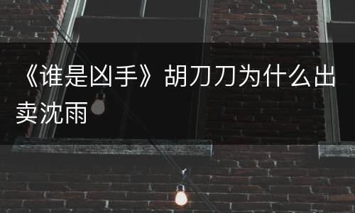 《谁是凶手》胡刀刀为什么出卖沈雨