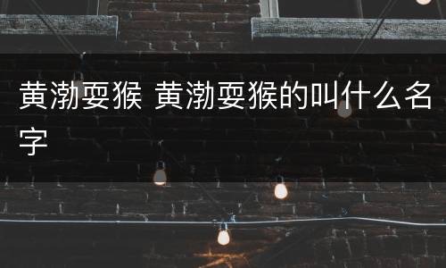 黄渤耍猴 黄渤耍猴的叫什么名字