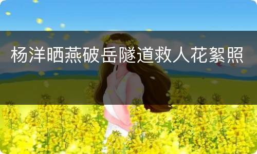 杨洋晒燕破岳隧道救人花絮照