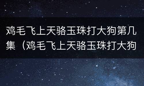 鸡毛飞上天骆玉珠打大狗第几集（鸡毛飞上天骆玉珠打大狗是哪一集）