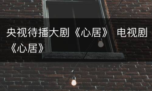 央视待播大剧《心居》 电视剧《心居》