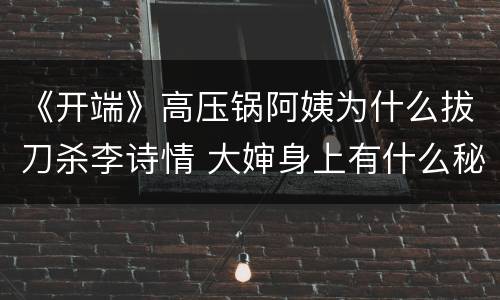 《开端》高压锅阿姨为什么拔刀杀李诗情 大婶身上有什么秘密