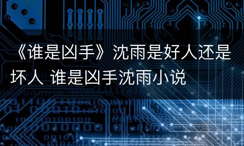 《谁是凶手》沈雨是好人还是坏人 谁是凶手沈雨小说