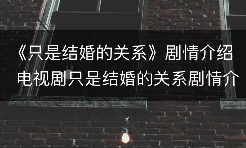 《只是结婚的关系》剧情介绍 电视剧只是结婚的关系剧情介绍