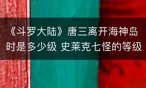 《斗罗大陆》唐三离开海神岛时是多少级 史莱克七怪的等级如何