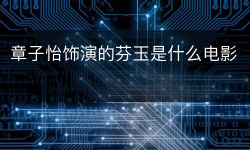 章子怡饰演的芬玉是什么电影