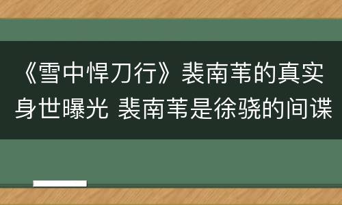 《雪中悍刀行》裴南苇的真实身世曝光 裴南苇是徐骁的间谍吗