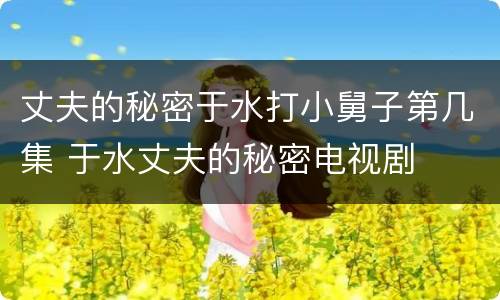 丈夫的秘密于水打小舅子第几集 于水丈夫的秘密电视剧