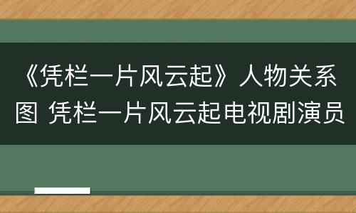 《凭栏一片风云起》人物关系图 凭栏一片风云起电视剧演员表