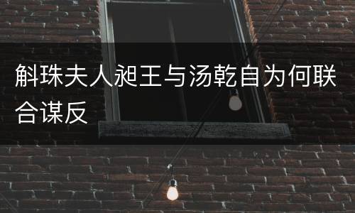斛珠夫人昶王与汤乾自为何联合谋反