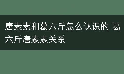 唐素素和葛六斤怎么认识的 葛六斤唐素素关系