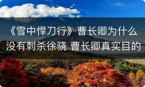 《雪中悍刀行》曹长卿为什么没有刺杀徐骁 曹长卿真实目的猜测