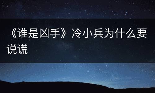 《谁是凶手》冷小兵为什么要说谎