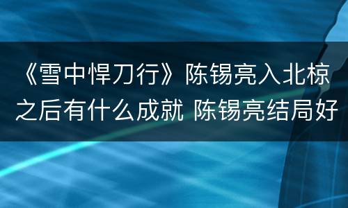 《雪中悍刀行》陈锡亮入北椋之后有什么成就 陈锡亮结局好吗