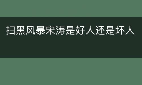 扫黑风暴宋涛是好人还是坏人