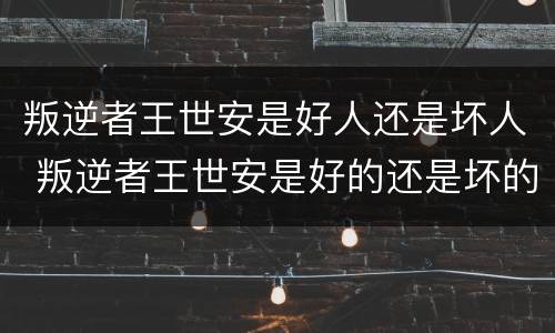叛逆者王世安是好人还是坏人 叛逆者王世安是好的还是坏的