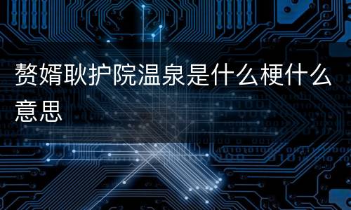赘婿耿护院温泉是什么梗什么意思