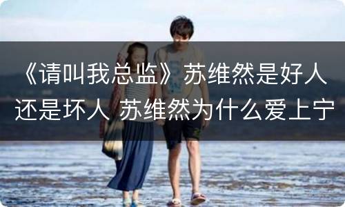 《请叫我总监》苏维然是好人还是坏人 苏维然为什么爱上宁檬