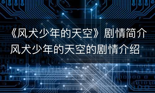 《风犬少年的天空》剧情简介 风犬少年的天空的剧情介绍