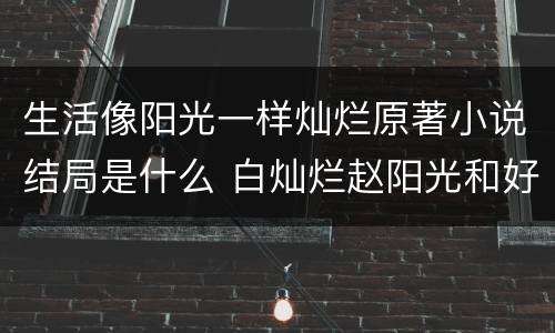 生活像阳光一样灿烂原著小说结局是什么 白灿烂赵阳光和好了吗