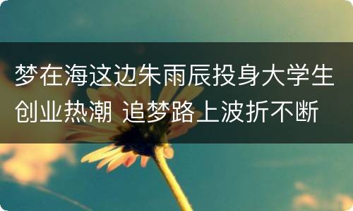 梦在海这边朱雨辰投身大学生创业热潮 追梦路上波折不断